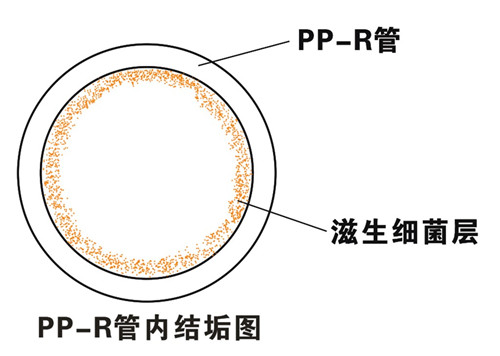 PP-R滲氧，易滋生細(xì)菌，有異味；腐蝕金屬連接件，降低使用壽命